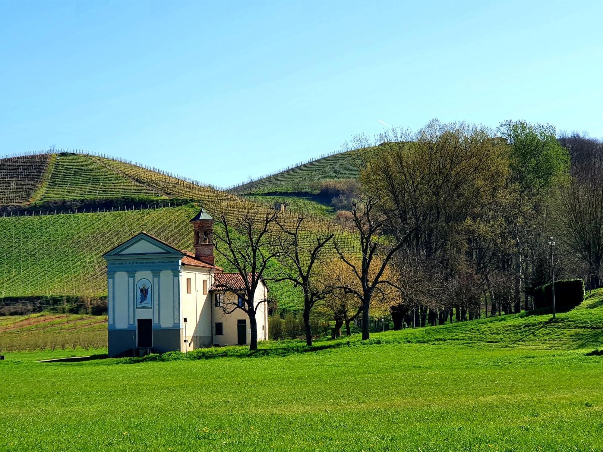 Oasi Del Monferrato - Appartamento Rosso Mombercelli Екстер'єр фото